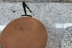 WhatsApp-Image-2025-03-24-at-13.28.54-3