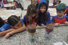 WhatsApp-Image-2025-03-24-at-13.28.57