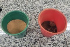 WhatsApp-Image-2025-03-24-at-13.29.02-3