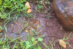 WhatsApp-Image-2025-03-24-at-13.37.14-1