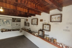 WhatsApp-Image-2024-11-28-at-12.59.26-1