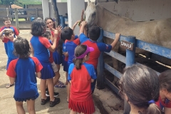 WhatsApp-Image-2024-11-28-at-12.59.26-3