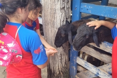 WhatsApp-Image-2024-11-28-at-12.59.26-4