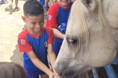 WhatsApp-Image-2024-11-28-at-12.59.28-1