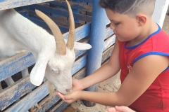 WhatsApp-Image-2024-11-28-at-12.59.28-4