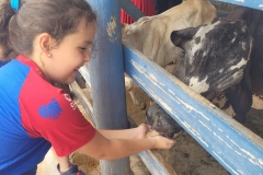 WhatsApp-Image-2024-11-28-at-12.59.28