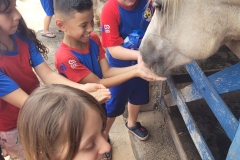 WhatsApp-Image-2024-11-28-at-12.59.30-1