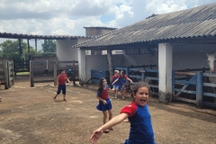 WhatsApp-Image-2024-11-28-at-12.59.30-2