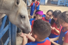 WhatsApp-Image-2024-11-28-at-12.59.31-3