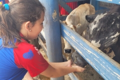 WhatsApp-Image-2024-11-28-at-12.59.31-4