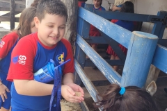 WhatsApp-Image-2024-11-28-at-12.59.31