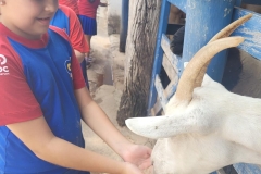 WhatsApp-Image-2024-11-28-at-12.59.32-2