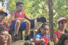 WhatsApp-Image-2024-11-28-at-13.02.05