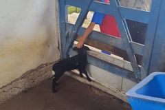 WhatsApp-Image-2024-11-29-at-14.52.02-2