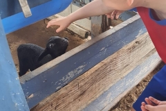 WhatsApp-Image-2024-11-29-at-14.52.02-3