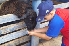 WhatsApp-Image-2024-11-29-at-14.52.03-1