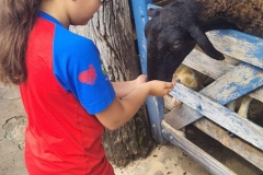 WhatsApp-Image-2024-11-29-at-14.52.03-2