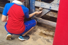 WhatsApp-Image-2024-11-29-at-14.52.03