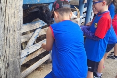 WhatsApp-Image-2024-11-29-at-14.52.04-1