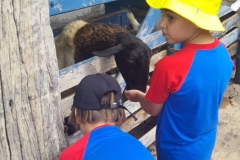 WhatsApp-Image-2024-11-29-at-14.52.04-2