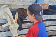 WhatsApp-Image-2024-11-29-at-14.52.04-3