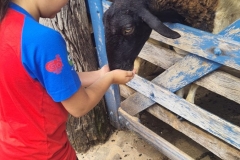 WhatsApp-Image-2024-11-29-at-14.52.04