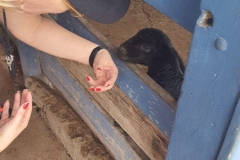 WhatsApp-Image-2024-11-29-at-14.52.05-1