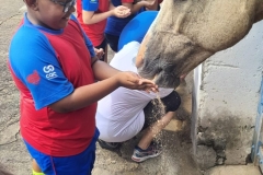 WhatsApp-Image-2024-11-29-at-14.52.05-2