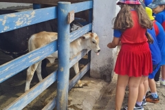 WhatsApp-Image-2024-11-29-at-14.52.06-1