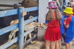 WhatsApp-Image-2024-11-29-at-14.52.06-2