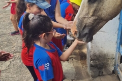 WhatsApp-Image-2024-11-29-at-14.52.06