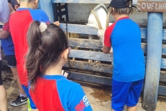 WhatsApp-Image-2024-11-29-at-14.52.07-1