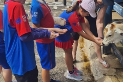 WhatsApp-Image-2024-11-29-at-14.52.07-2