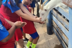 WhatsApp-Image-2024-11-29-at-14.52.07