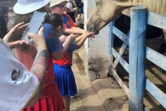 WhatsApp-Image-2024-11-29-at-14.52.08-1