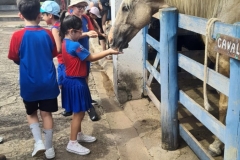 WhatsApp-Image-2024-11-29-at-14.52.08-2