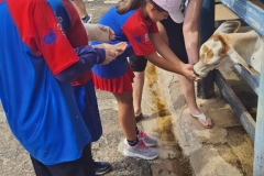 WhatsApp-Image-2024-11-29-at-14.52.08