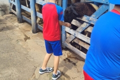 WhatsApp-Image-2024-11-29-at-14.52.09-1