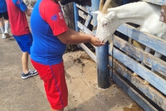 WhatsApp-Image-2024-11-29-at-14.52.09-2