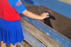 WhatsApp-Image-2024-11-29-at-14.52.09-3