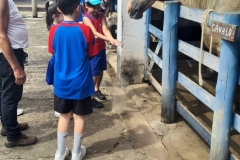 WhatsApp-Image-2024-11-29-at-14.52.09