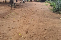 WhatsApp-Image-2024-11-29-at-17.45.10-1