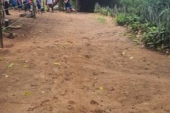 WhatsApp-Image-2024-11-29-at-17.45.13