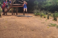 WhatsApp-Image-2024-11-29-at-17.45.18