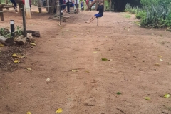 WhatsApp-Image-2024-11-29-at-17.45.22-1