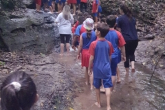 WhatsApp-Image-2024-11-29-at-17.45.49