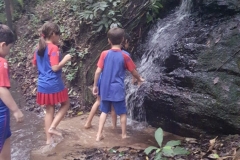 WhatsApp-Image-2024-11-29-at-17.45.50