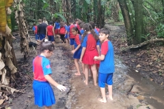 WhatsApp-Image-2024-12-02-at-15.35.00-1