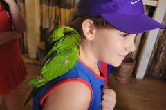 WhatsApp-Image-2024-12-02-at-15.35.00