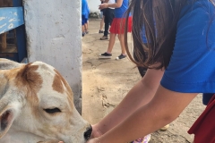 WhatsApp-Image-2024-12-02-at-15.35.06